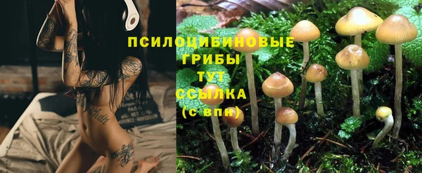 хмурый Алексеевка